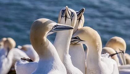 红河伴游,定制QQ:3494206190微信:act1322