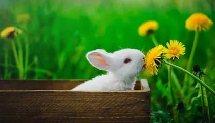 红河伴游，定制QQ：3494206190微信：act1322